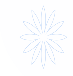lewin乐玩·(中国)官方网站